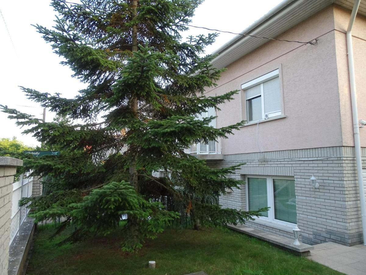 Accommodatie bij particulieren 布达佩斯苹果酒店 *